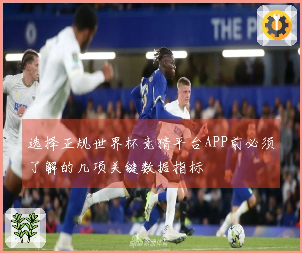 选择正规世界杯竞猜平台APP前必须了解的几项关键数据指标
