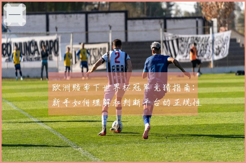 欧洲赔率下世界杯冠军竞猜指南：新手如何理解和判断平台的正规性