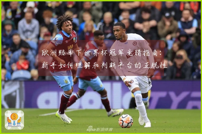 欧洲赔率下世界杯冠军竞猜指南：新手如何理解和判断平台的正规性