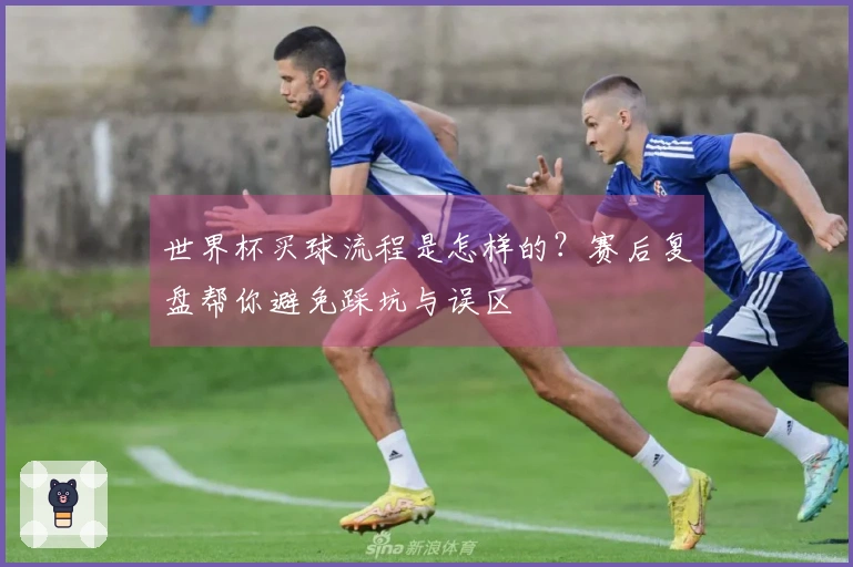 世界杯买球流程是怎样的？赛后复盘帮你避免踩坑与误区